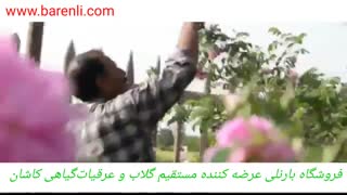 فروشگاه آنلاین بارنلی