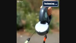 قلاده سگ