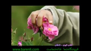 فروشگاه آنلاین بارنلی