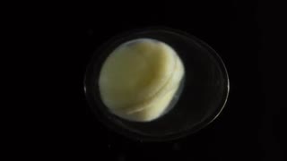 فیلم کوتاه Becoming ؛ فیلمی تایم لپس از تکثیر سلولی !