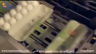 خط بسته بندی تخم مرغ