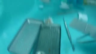 کاشت ایمپلنت با به کارگیری پلاکت خود بیمار|کلینیک دندانپزشکی مدرن