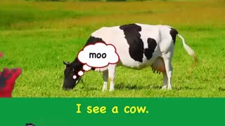 Animals and their Sounds / حیوانات و صدای آنها/ what do you see