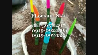 فروش فرمول وپک مواد فانتاکروم /09190924595