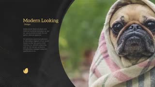 پروژه آماده افتر افکت اسلایدشو نمایش عکس های زیبا (Elegant Slides)