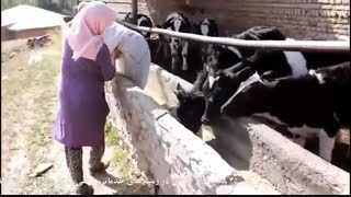 اجرای 35 هزار طرح اشتغال توسط کمیته امداد البرز