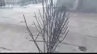 حفاظ شاخ گوزن | تابان حصار