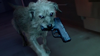 همون جان ویک، ولی سگش (John Wick 1)