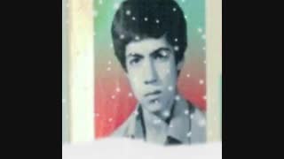 شهیدان 8 سال دفاع مقدس روستای دولت آباد چناران