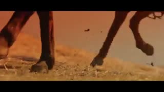 [미스터 션샤인 OST Part 9] 오존 (O3ohn) - Shine Your Star (Prod. by ZICO) MV