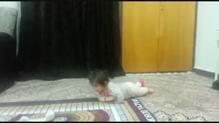 امیر رضا جوکار ،خارک 1 عیسی جوکار اصلاح فرم صورت