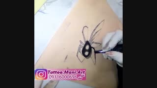 تتو پر و عنکبوت روی بازو