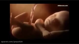 شگفتیهای خلقت انسان 3