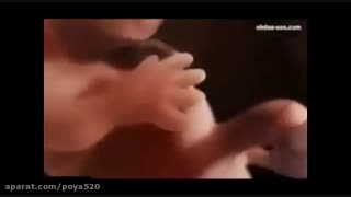 شگفتیهای خلقت انسان 4