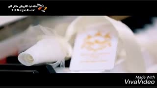 مزون ویس در قزوین