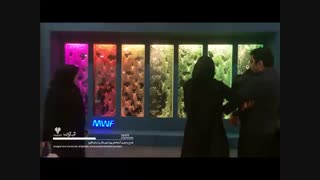 حبابنمای رنگین کمانی (آبنمای حبابی) نمایشگاه میدکس