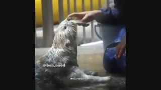 ممدم پول بده