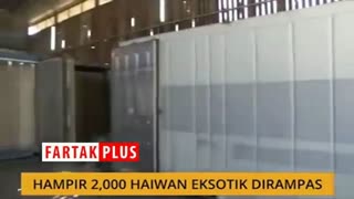 کشف ۳۰ تن محموله گوشت مورچه خوار توسط پلیس مالزی