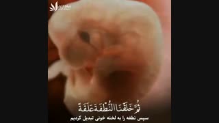 تولد تا مرگ از دیدگاه قرآن