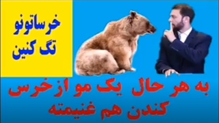 حواستون باشه از موی خرس بچه دار نشین