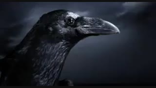 لطفا دنبال و تبلیغ کنید مرسی