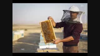خرید عسل طبیعی