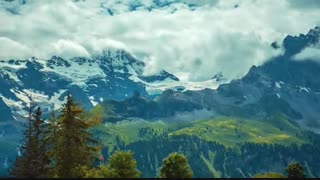 ویزای شینگن