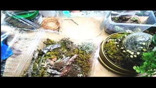 پرینتر سه بعدی و آکواریوم