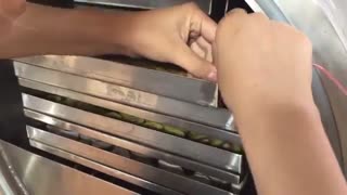 خشک کن انجمادی