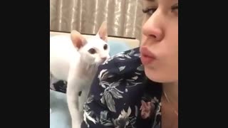 وقتی گربتم از عن بازیات خسته میشع-__-