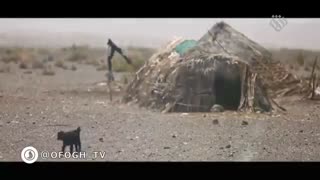 قلب عاشق || نماهنگ || علیرضا عصار
