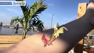 اپلیکیشن واقعیت افزوده HoloTats