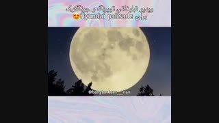 تبلیغ اختصاصی ویکوک(te te & kooki) برای ماشین هیوندا