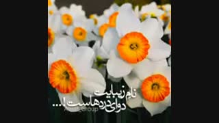 @_@ دیرینگ!