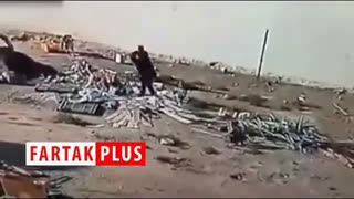 سگی که صاحبش را از چنگال سگ ولگرد نجات داد