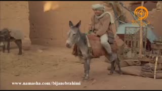 کمدی سوءتفاهم