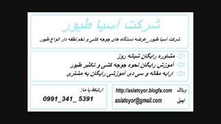 خرید و فروش تخم طاووس