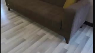 تختخواب شو (تخت شو) یک نفره با نشیمن سه نفره مدل   B19npآرا سوفا