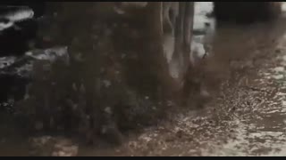 دانلود حلال و قانونی سریال ترسناک احضار قسمت شش