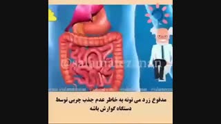 ظاهر مدفوع