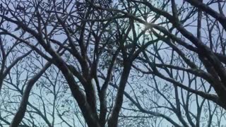 تریلر انگلیسی فصل اول انیمه توکیو غول Tokyo Ghoul