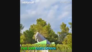 آفتابگردن فلزی