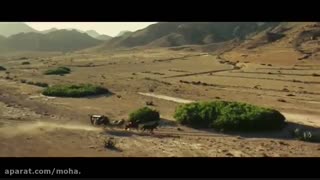 خوب بد زشت - The Good The Bad And The Ugly 1966