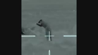 شلیک بدون خطا تک تیرانداز