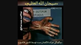 عظمت خلقت در انسان