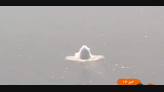 در دومین روز از مرحله نهایی رزمایش دریایی «ولایت٩٧» چه گذشت؟