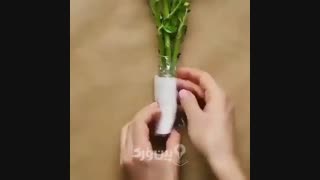 گلدان های میوه ای!