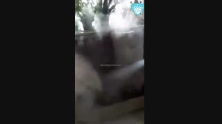 مبل شویی شستشو مبلمان با بخار شستشو فرش با بخار شستشو دیوار با بخار