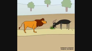 کارتن زیبای شیر و بز مغرور