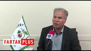 علت گرانی کاهو در هفته‌های اخیر چیست؟